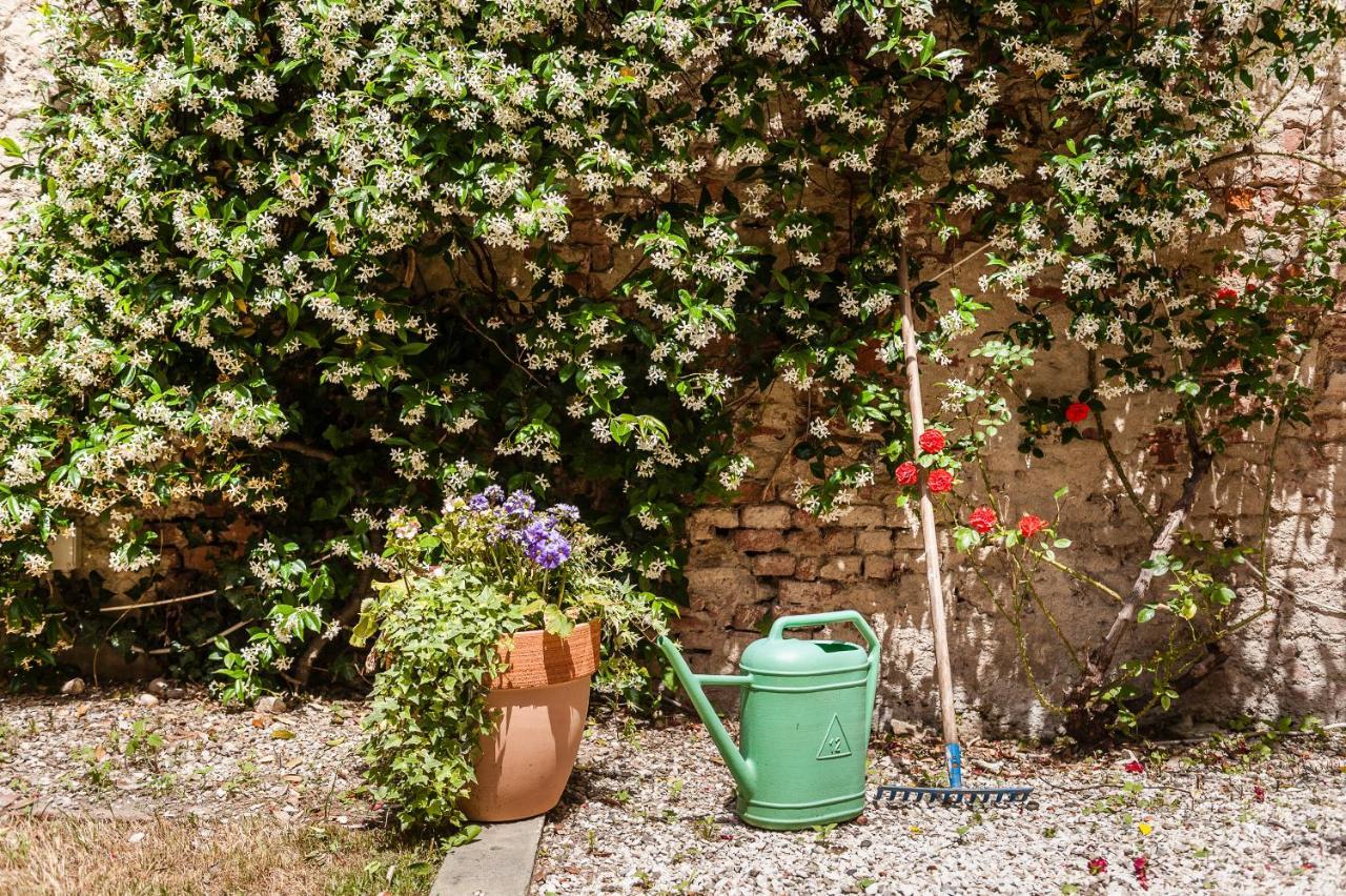 Hostly - Garden House Near The Tower - Historical House With Private Garden Leilighet Pisa Eksteriør bilde